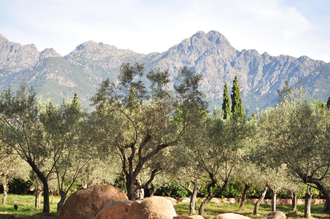 Domaine Codaleone Serriera  Exteriér fotografie