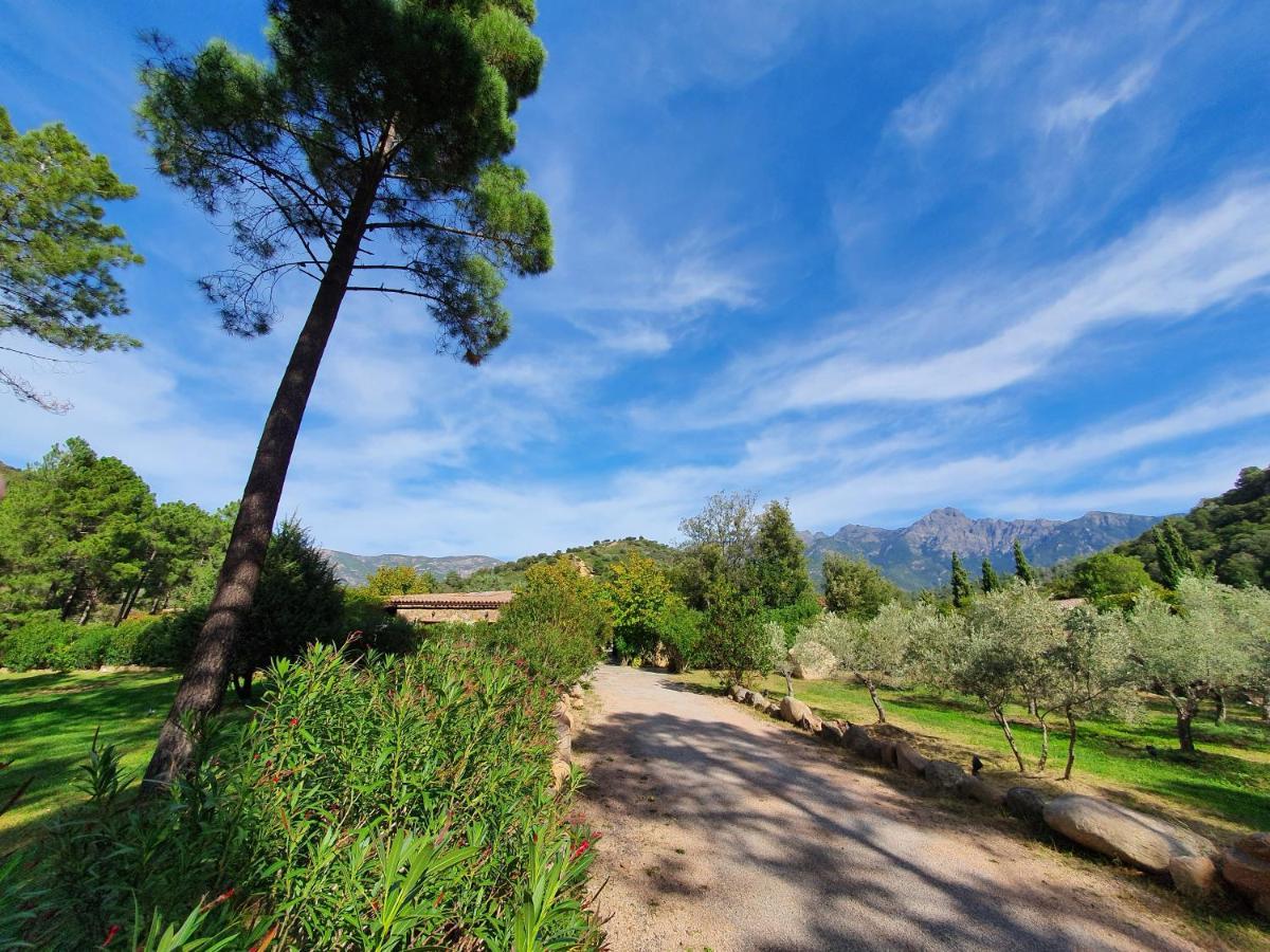 Domaine Codaleone Serriera  Exteriér fotografie