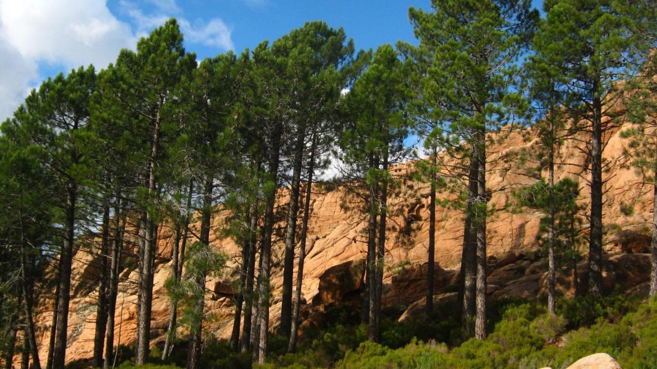 Domaine Codaleone Serriera  Exteriér fotografie