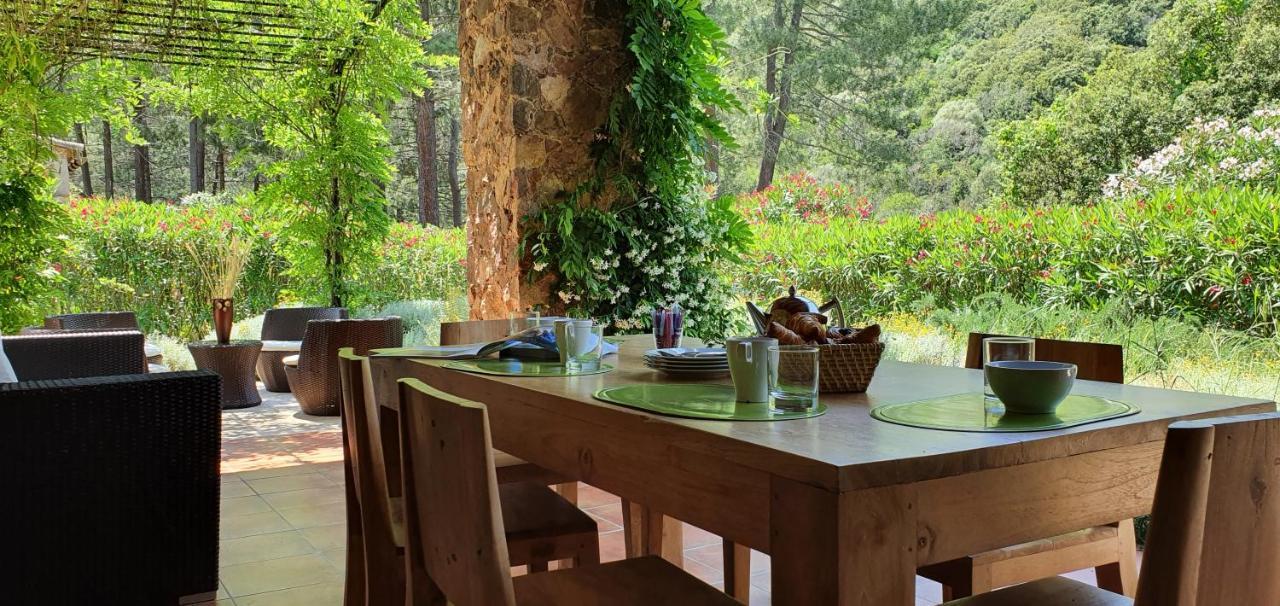 Domaine Codaleone Serriera  Exteriér fotografie