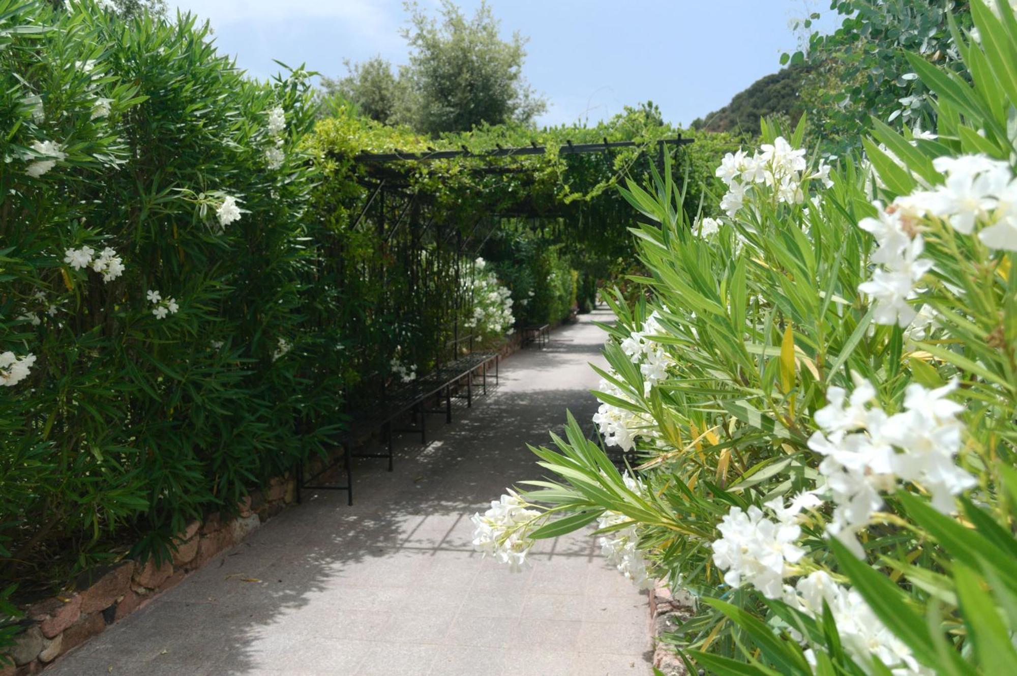 Domaine Codaleone Serriera  Pokoj fotografie